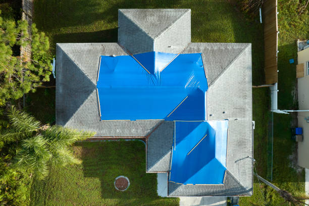 Best Roof Moss and Algae Removal  in Waikele, HI